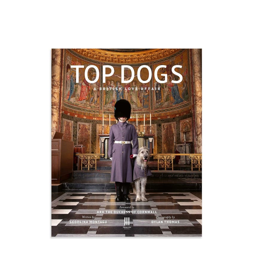 Top Dogs A British Love Affair