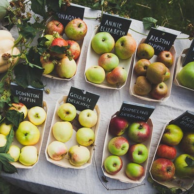 Apple Day: A Celebration of Apples