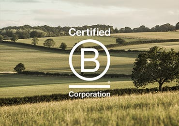 B Corp Q&A with our Head of Sustainability