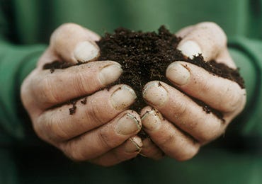 How to Compost