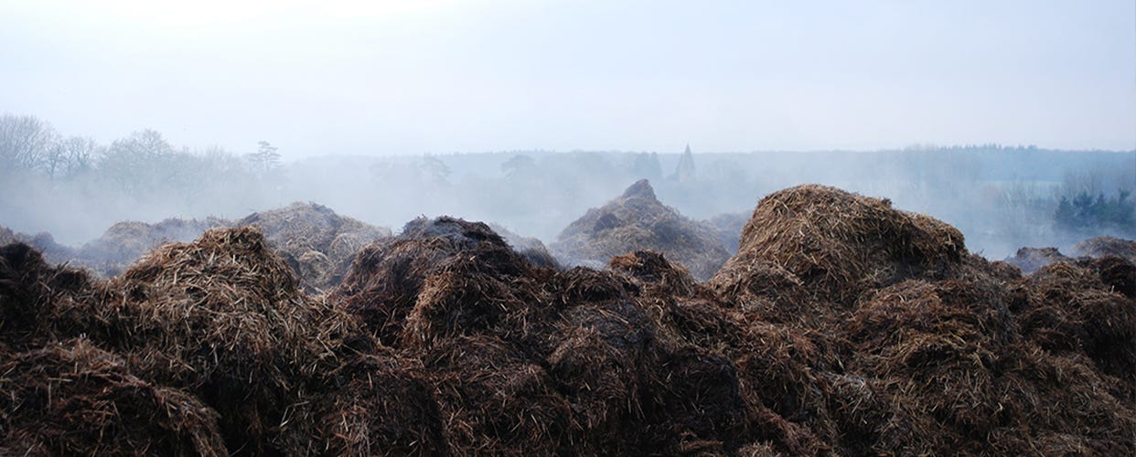 Muck heaps and soil health