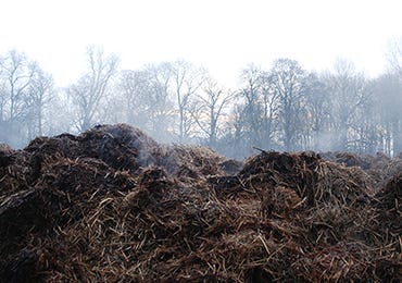 Muck heaps and soil health