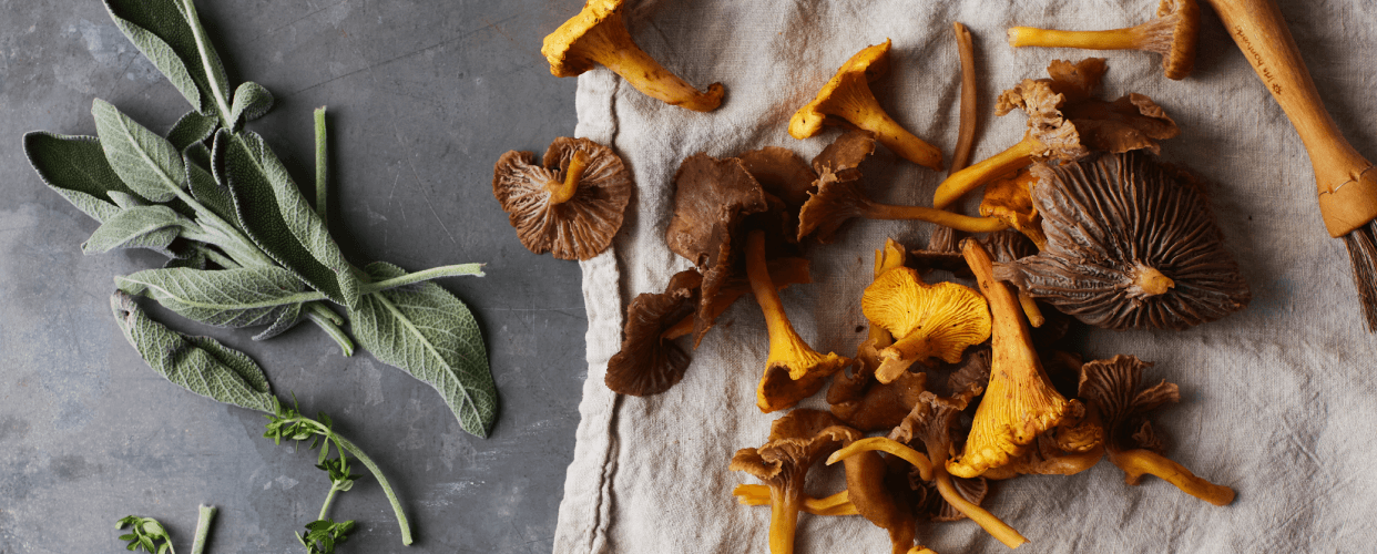 The Magic Of Mushrooms