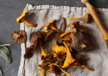 The Magic Of Mushrooms