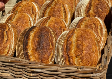 The Story of our Award Winning White Sourdough