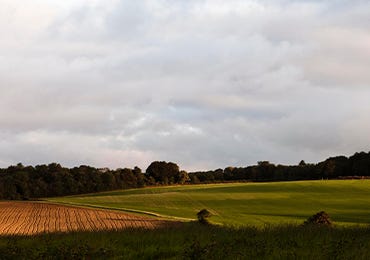 Walk your way to wellbeing