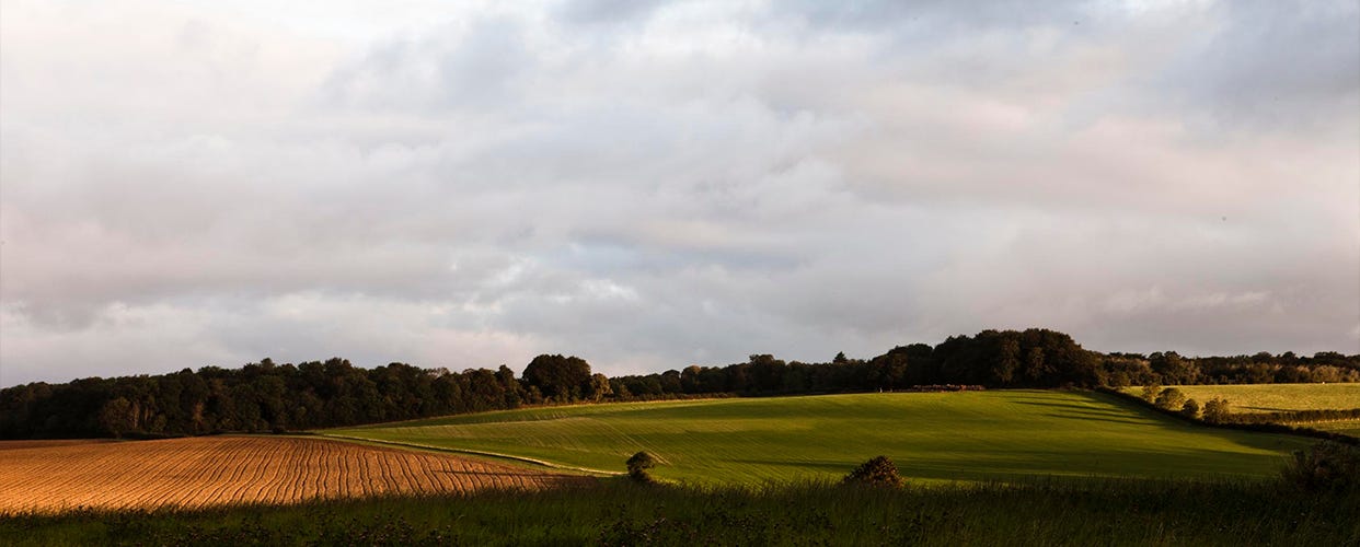 Walk your way to wellbeing