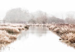 Our Wilderness Wetland
