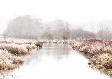 Our Wilderness Wetland