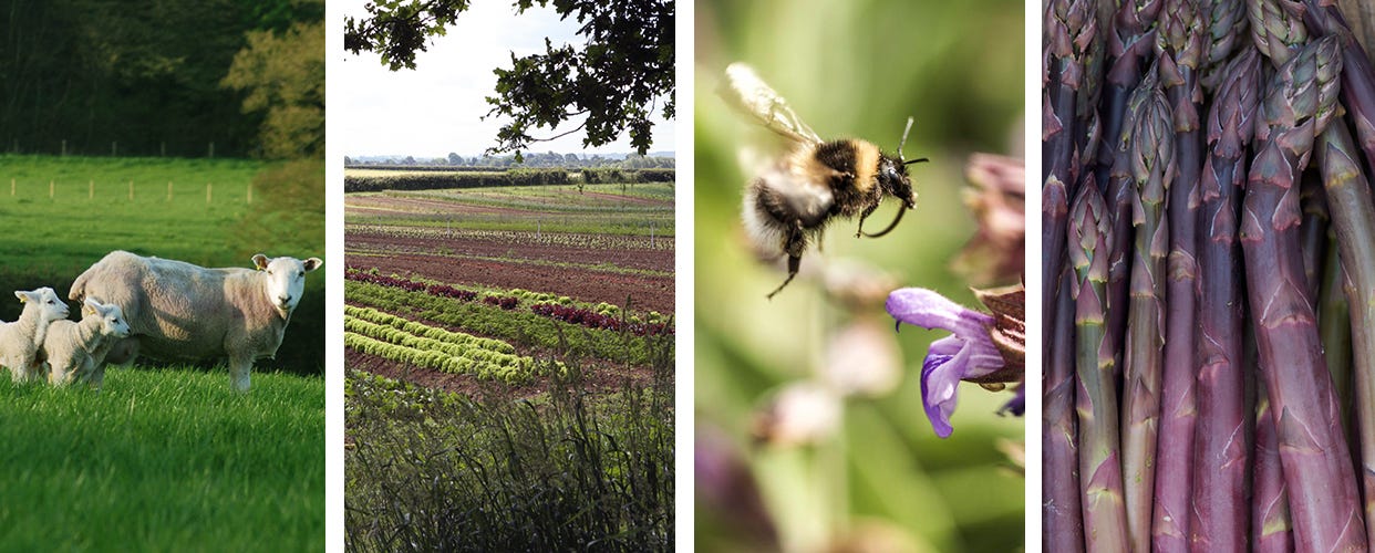 Notes from the Farm - April 2024