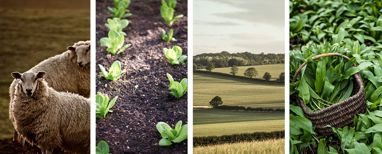 Notes from the Farm - March 2024