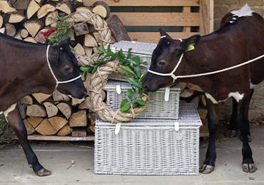 How to reuse your hamper